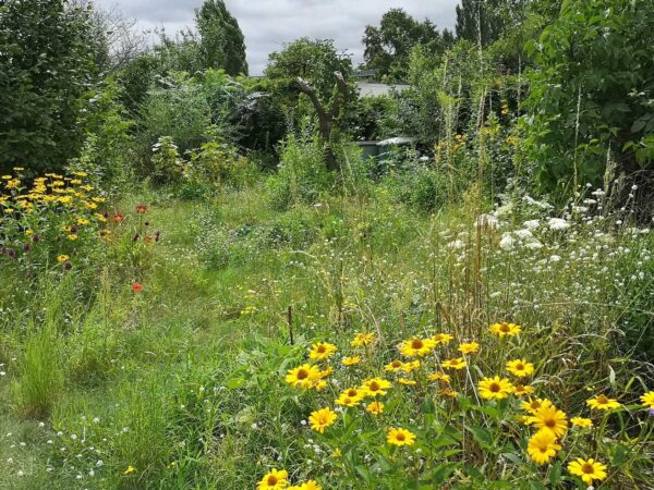 Gartenblick